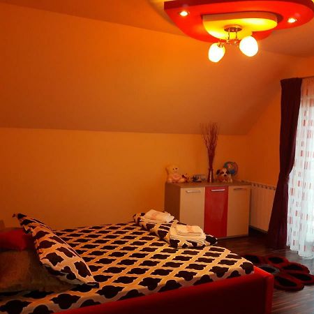 Vila Alexia Hotel Călimăneşti Bagian luar foto