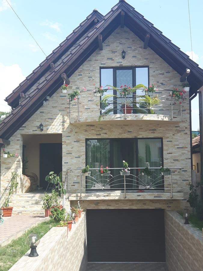 Vila Alexia Hotel Călimăneşti Bagian luar foto