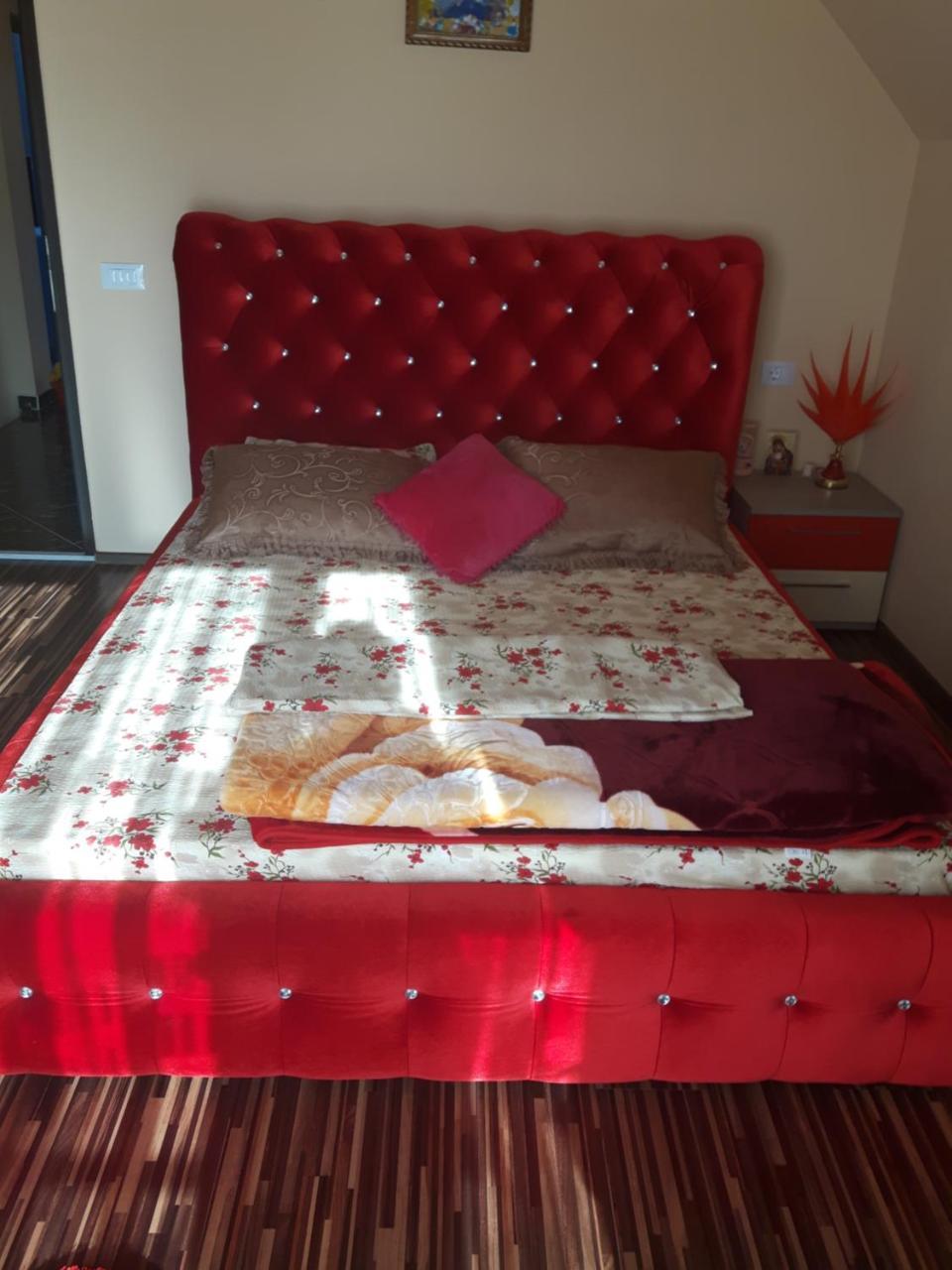 Vila Alexia Hotel Călimăneşti Bagian luar foto