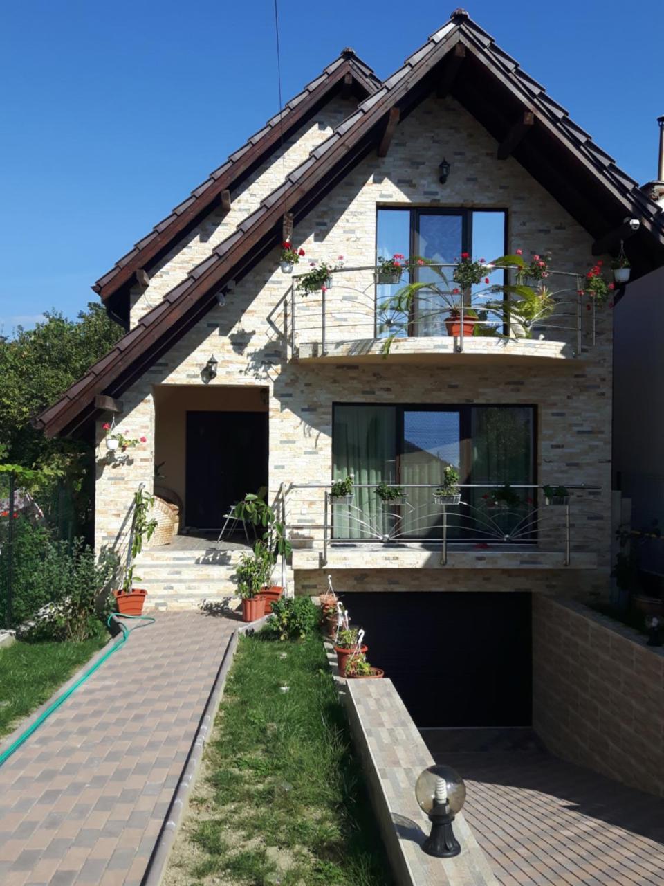 Vila Alexia Hotel Călimăneşti Bagian luar foto