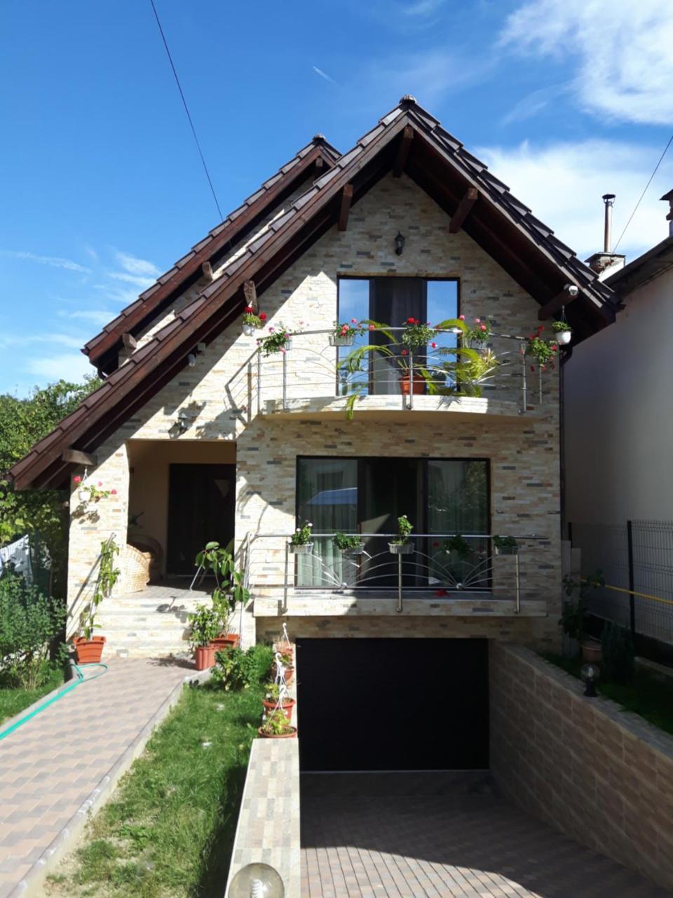 Vila Alexia Hotel Călimăneşti Bagian luar foto