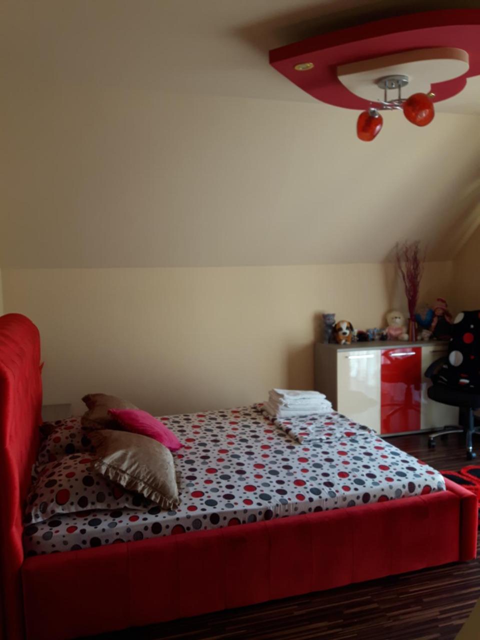 Vila Alexia Hotel Călimăneşti Bagian luar foto