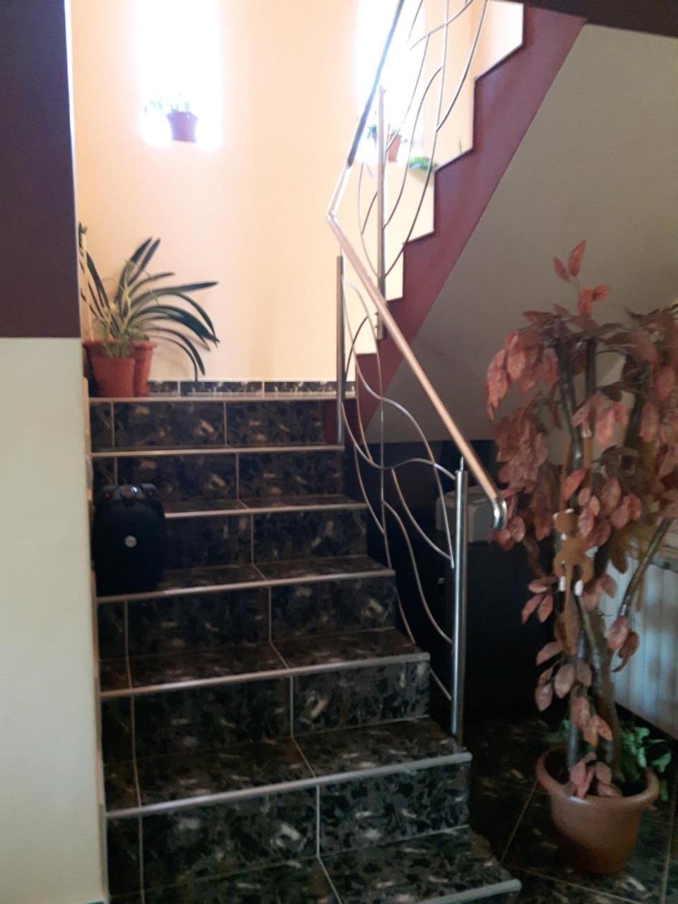 Vila Alexia Hotel Călimăneşti Bagian luar foto