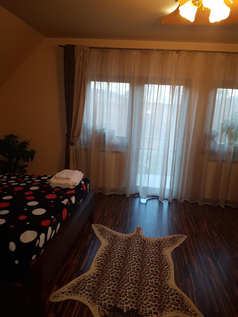 Vila Alexia Hotel Călimăneşti Bagian luar foto