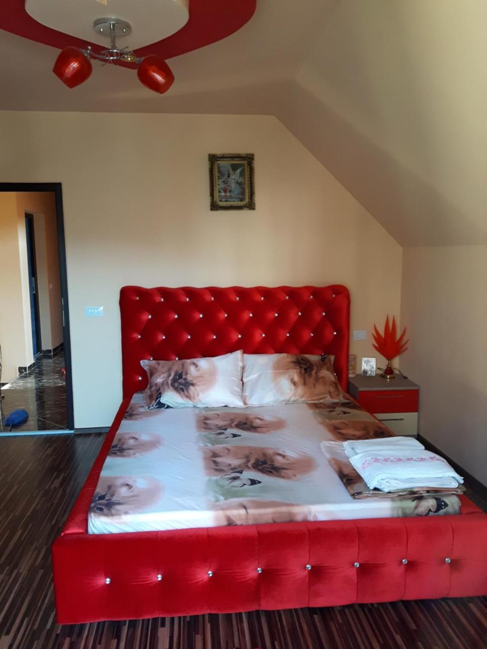 Vila Alexia Hotel Călimăneşti Bagian luar foto
