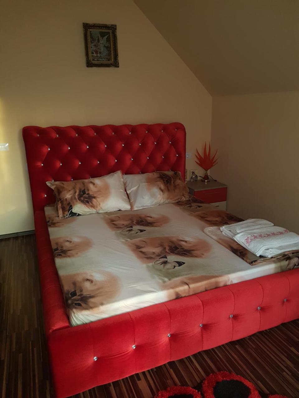 Vila Alexia Hotel Călimăneşti Bagian luar foto