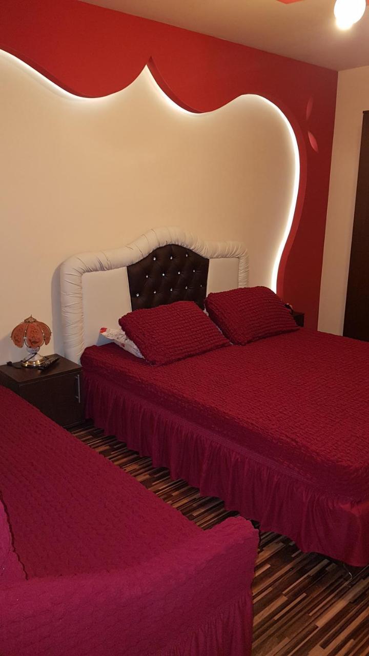 Vila Alexia Hotel Călimăneşti Bagian luar foto