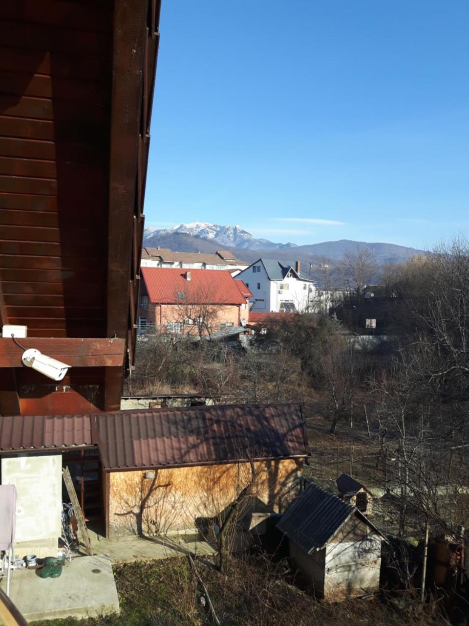 Vila Alexia Hotel Călimăneşti Bagian luar foto