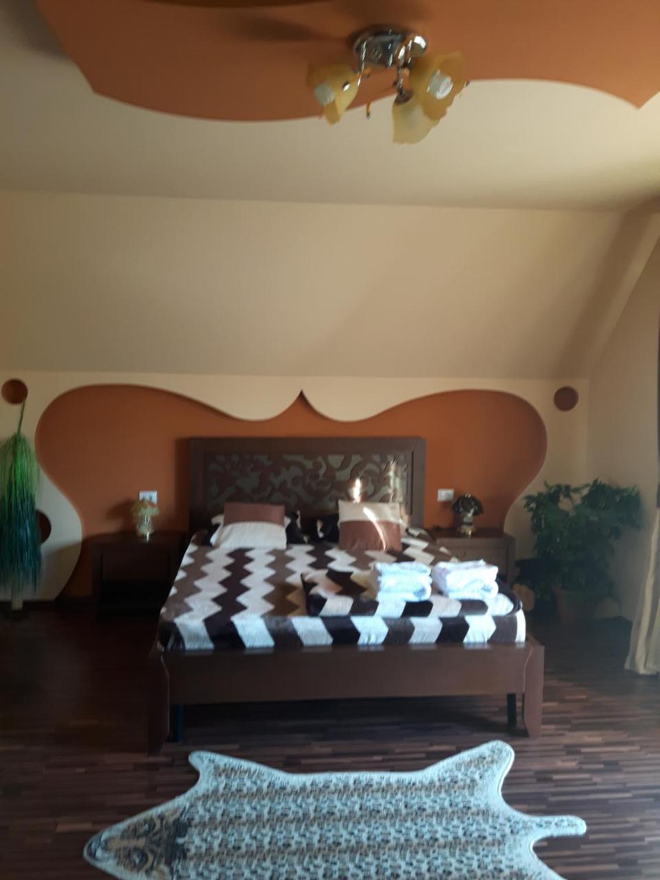 Vila Alexia Hotel Călimăneşti Bagian luar foto