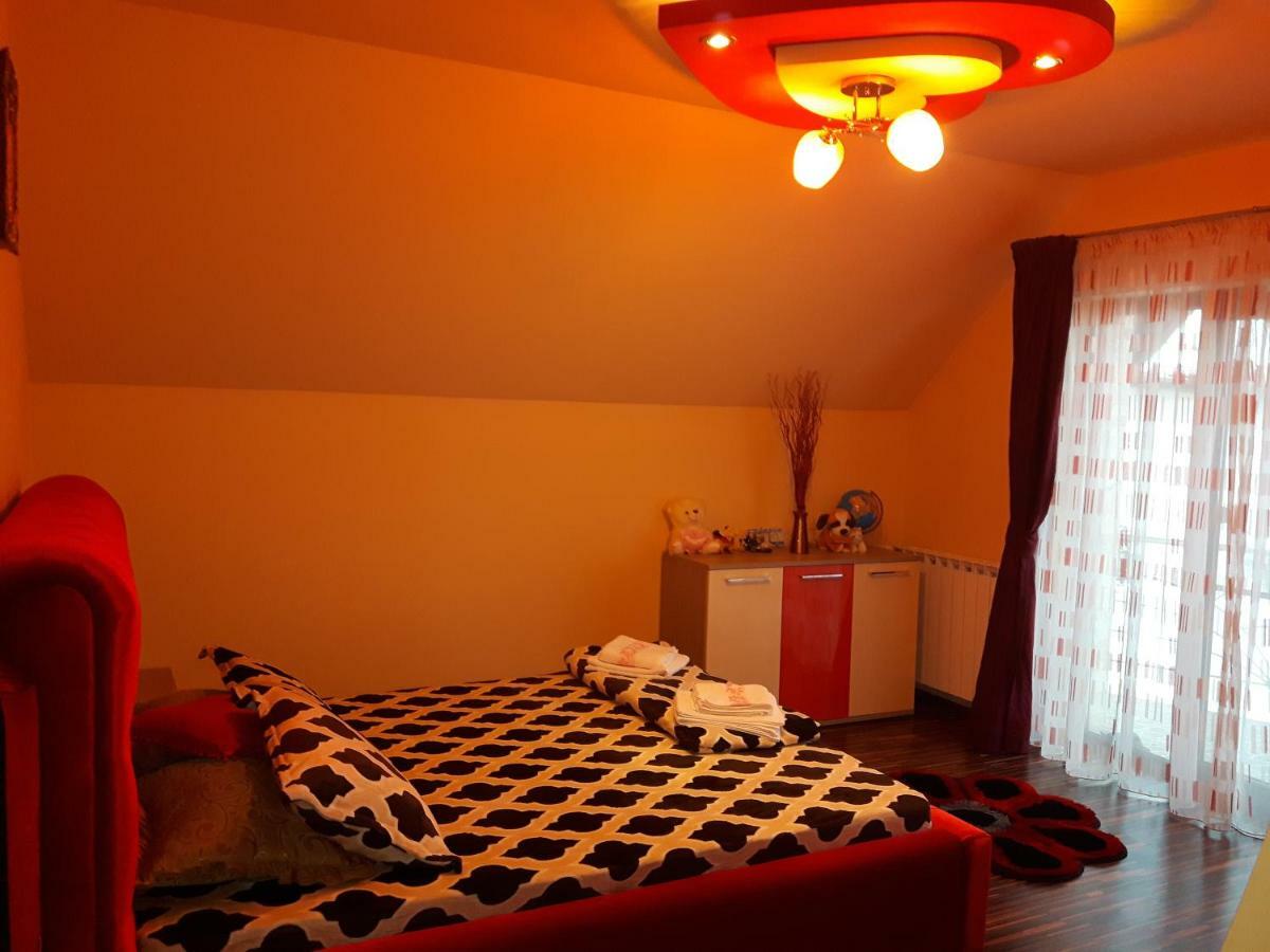 Vila Alexia Hotel Călimăneşti Bagian luar foto